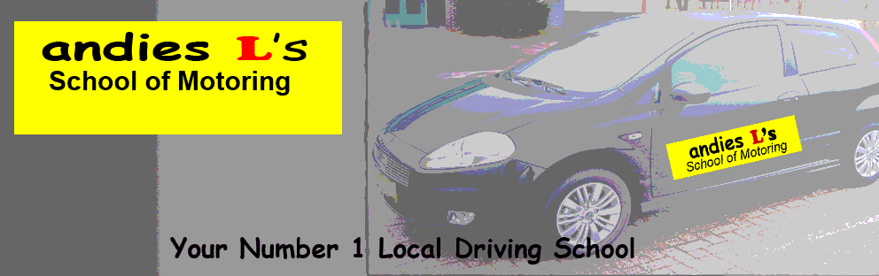 Andies L's School of motoring